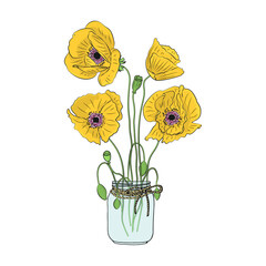 Hand drawn poppy flowers in mason jar clipart. Floral design element. Isolated on white background. Vector