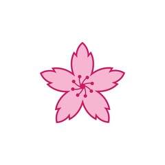 sakura flower vector illustration design