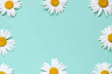 Chamomile flowers border on light blue background. Greeting card template.