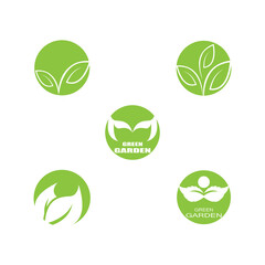 Set Leaf Logo Template vector