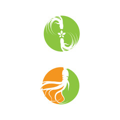 Obraz premium Ginseng Logo Template vector symbol