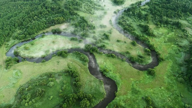 Aerial view winding river flows through green meadows and forest. Clouds of fog over water surface in morning. Flying high above of zig-zag waterway before sunrise. Misty dawn, idyllic green valley