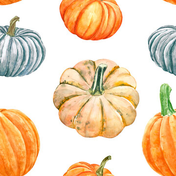 Pumpkins seamless pattern. Watercolor hand painted autumn vegetables on white background. Fall gourds print for design, textile, Halloween cards, Thanksgiving design. Botanical autumnal illustration