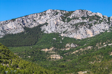 Fototapeta na wymiar Coniferous trees covers the top of the mountain. Blue sky.