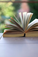 Open book in a garden. Selective focus.