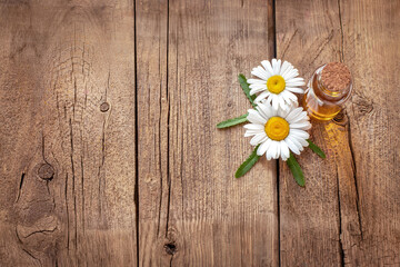daisies on a wooden background, a bottle with essence, oil or extract of medicinal plants, natural oils, a place for text, advertising, design