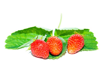 Strawberry isolated on white background