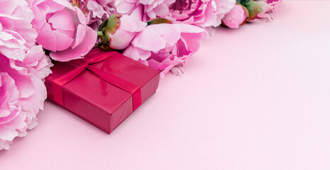 Pink peonies and a small pink gift box on a pink background.Template for holiday cards.Copy space, selective focus with shallow depth of field