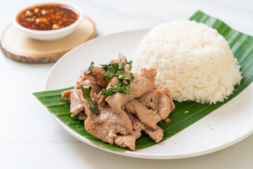 rice with grilled pork garlic