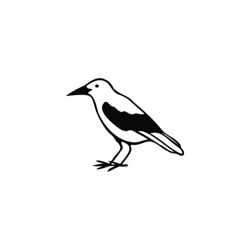 Single vector doodle element isolated on white background. Crow
