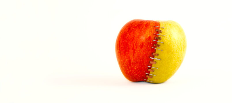 panoramic view of two apples (granny smith and braeburn), red and green stapled together with zinc and copper staples. Copper nutrition in apples, total Copper content