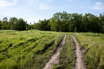 Fototapeta na wymiar unpaved dirt road goes through a beautiful meadow and trees