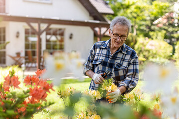 Mature man working in the garden
