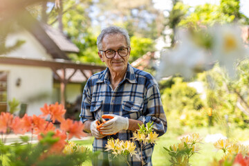 Mature man working in the garden
