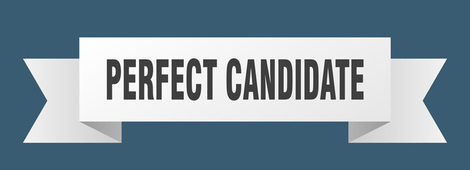 perfect candidate ribbon. perfect candidate isolated band sign. perfect candidate banner