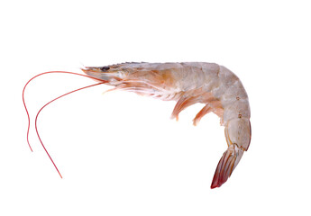 Fresh raw shrimps isolated on white background