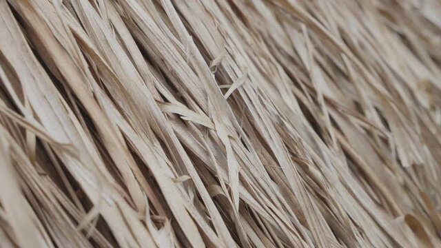 Close-up of Dry grass roof, dry palm leaves against.