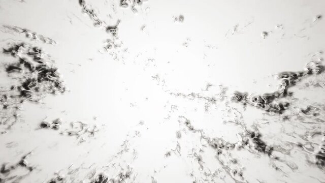 abstract bubbles paint seethes and moves. black and white looped animation background