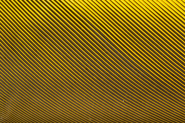 Beautiful Bright Yellow Parrot Feather Close up Detail Texture. Abstract Pattern Background