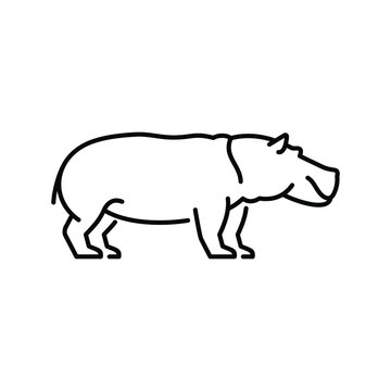 Hippopotamus vector icon. Wild animal. African savannah fauna.