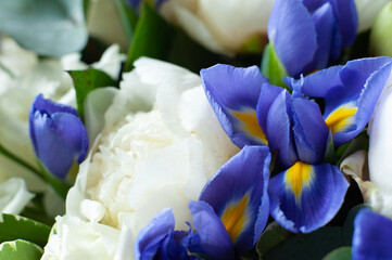 Peonies and daffodils. Macro photo of flowers. Selective focus. White and blue.