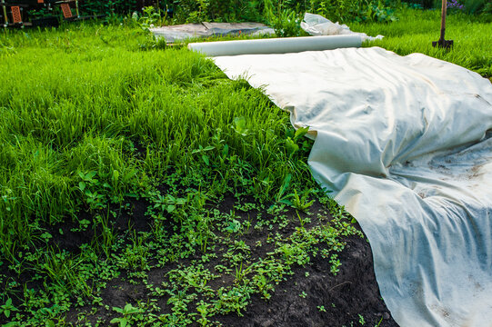 A canvas of white geotextile lies on the green grass outside