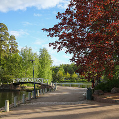 Spring day on the beach