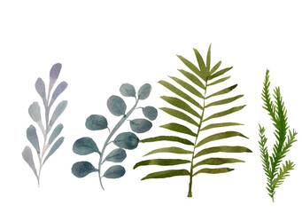 Fototapeta na wymiar Four tropical leaves. Hand drawn leaves illustration in watercolor