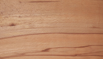 Beech wood beauty texture as a nice background 
