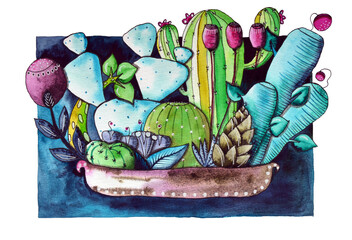 Watercolor handpainted succulent plants and cacti in painted pot.Watercolor illustration on white background