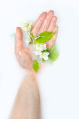 Girl's palm in a bath with milk and flowers. Copy space, flat lay. The concept of tenderness, freshness, youth, body care, natural cosmetics.