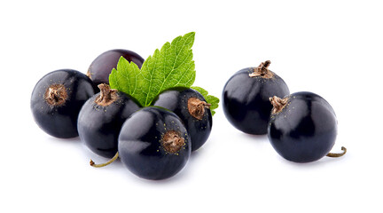 Black currant berries with leaf  on White Background