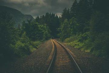 Deurstickers Trein volgt spoorlijn door Pacific Northwest forest © Nicholas Steven