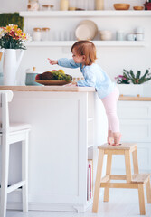 curious infant baby girl trying to reach things on the table in the kitchen with the help of step...