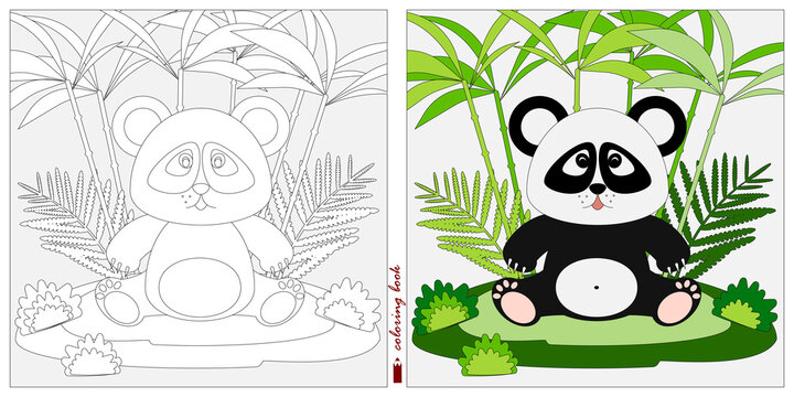 Black and white and color images for a color book. Contour drawing with children's themes. A small Panda cub sits in a clearing among reeds and ferns. For color books, children's prints, cards.
