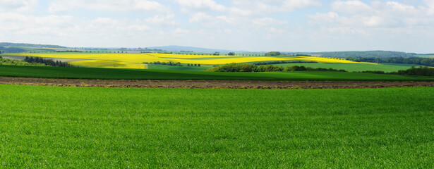 Obraz premium Frühlingslandschaft Panorama bei Raversbeuren im Hunsrück 