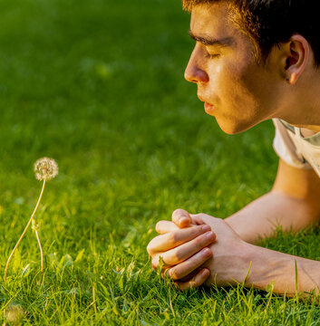 Young boy blows dandelion flower on the lawn of an outdoor garden