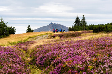 KARKONOSZE, POLAND - AUG 15, 2019: View of hiking trails and Karkonosze (Krkonose) mountains national park at the Poland and Czech Republic border. Scenic summer landscape with beautiful views.