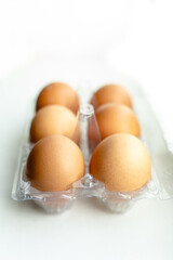 tray with chicken eggs on a light background