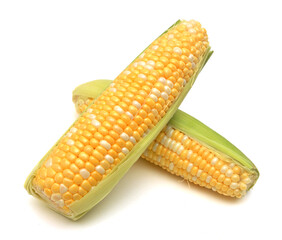 Fresh raw corn cobs isolated on the white background