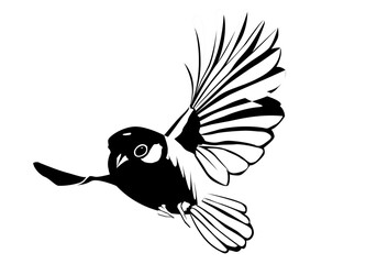 mésange isolée en noir et blanc © bubulk