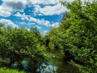 Fototapeta na wymiar Beautiful summer landscape by the water surface on a Sunny summer day