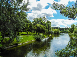 Fototapeta na wymiar Beautiful summer landscape by the water surface on a Sunny summer day