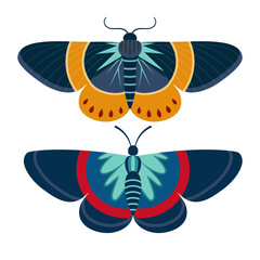 Colorful Tropical Butterfly Moth Icon in Cartoon