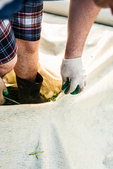 Male hands in gloves cut geotextiles with scissors in the garden.