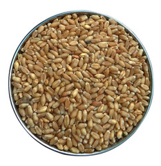 bowl of wheat
