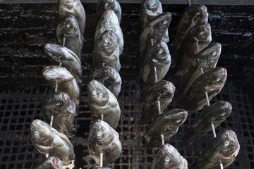 Fototapeta premium Trout in polish cuisine.