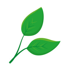 green leaves icon, colorful design
