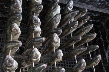Trout in polish cuisine.