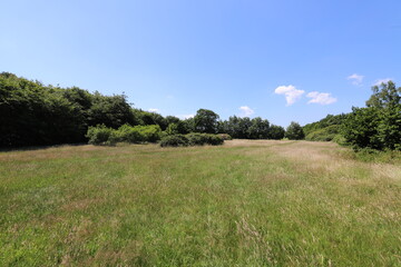 A beautiful blue cloudy sky over a landscape park with forest edge.